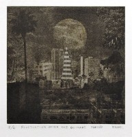 Ema_Kawanago-2Fluctuation_after_the_Quinary_period_ reduit 